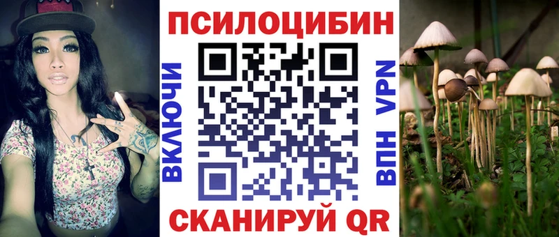Купить где  Холмск  Псилоцибиновые грибы Psilocybine cubensis 